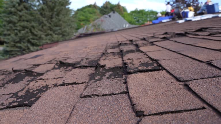 Best Tile Roofing Installation  in Haven, KS